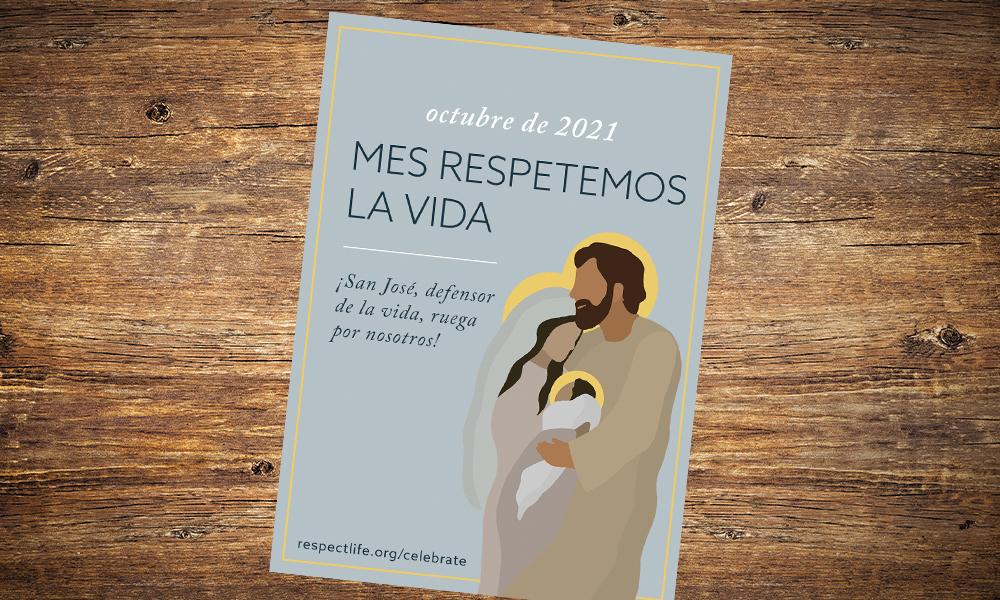 Mis queridos hermanos y hermanas en Cristo