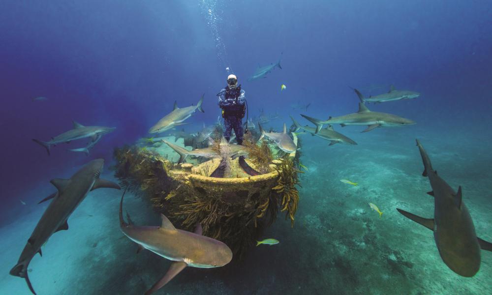 Taking the ‘higher Ground’ Across South Carolina 5