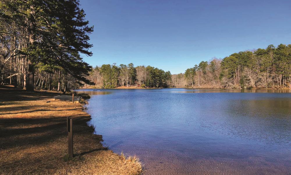 Taking the ‘higher Ground’ Across South Carolina 2
