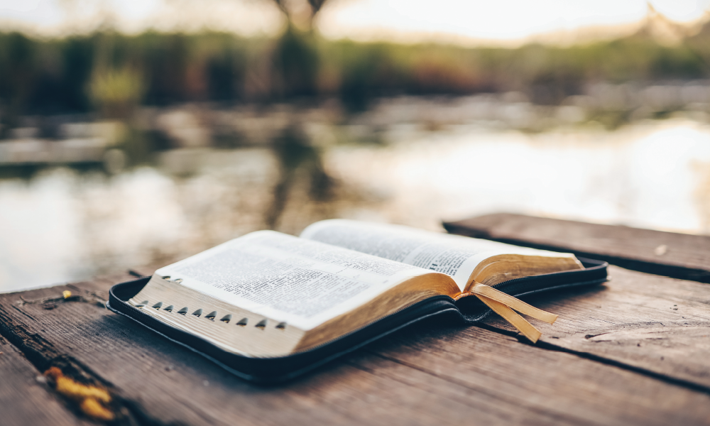 Scripture is our guide in turning away from sin