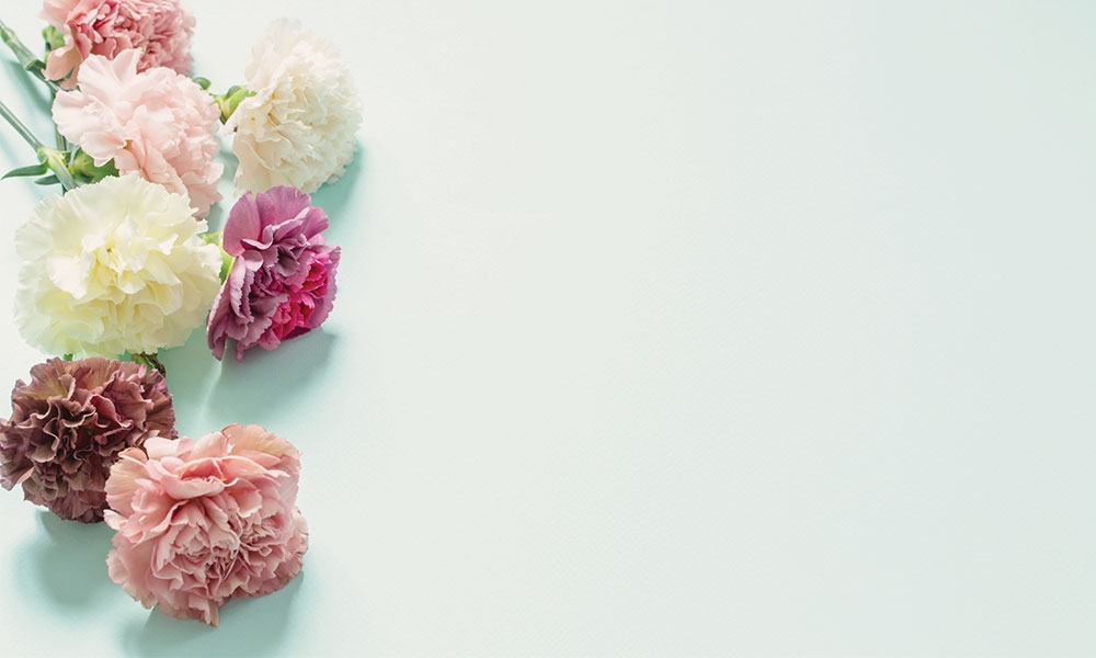Carnations