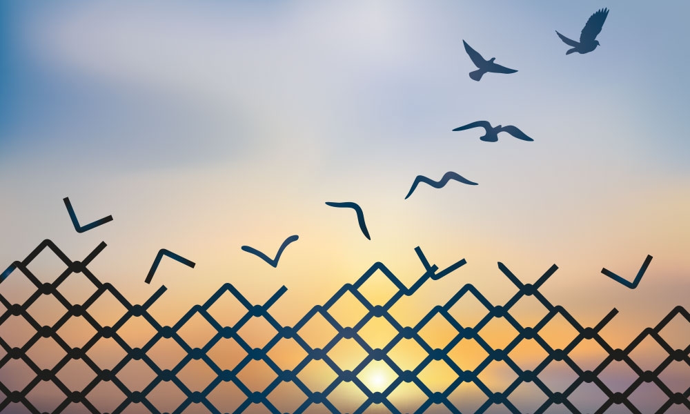 Pena capital: ¿Cómo podemos llamar a esto justicia?