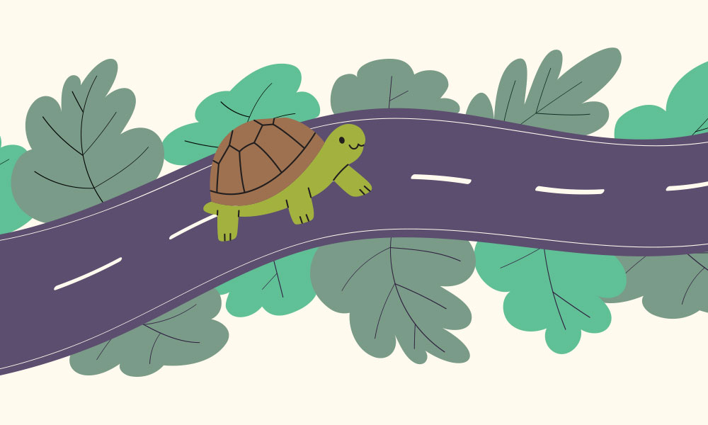Illustrated turtle traveling along a road
