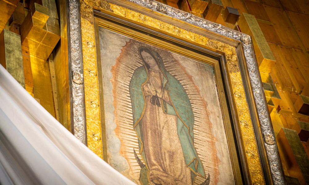 Our Lady of Guadalupe deals in miracles
