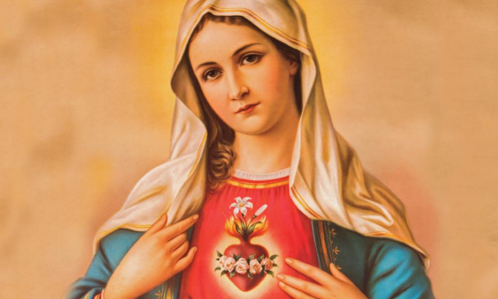 Portrait of the Sacred Heart of Mary