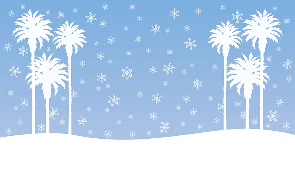 Illustration of snow and palm trees