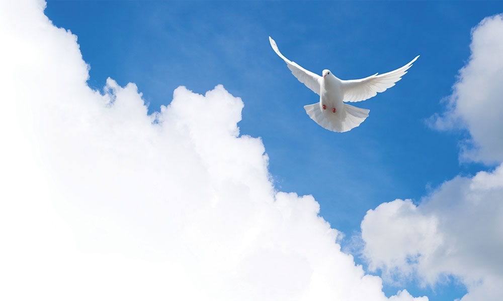 Dove descending from a cloudy blue sky