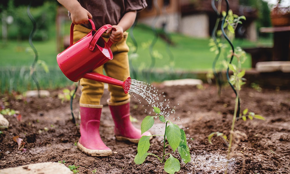 Child watering a garden