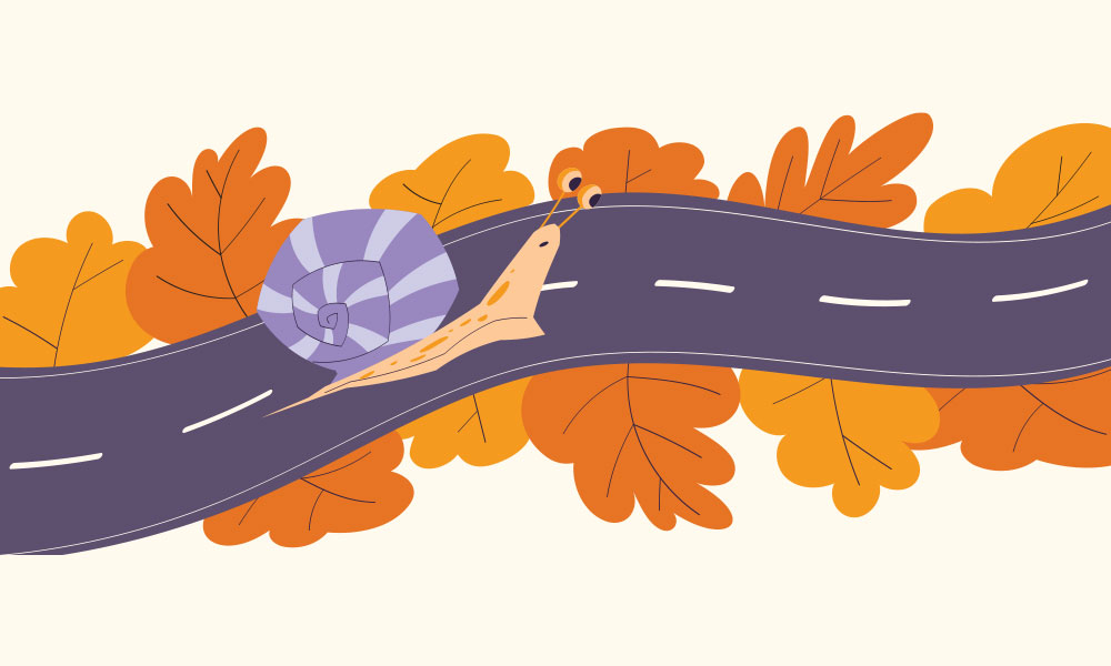 Illustration of a snail traveling along a fall-themed road