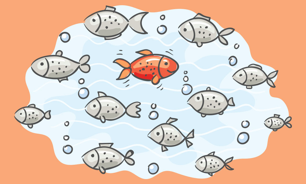 Illustration of a school of fish, all but one the same color and swimming the same direction